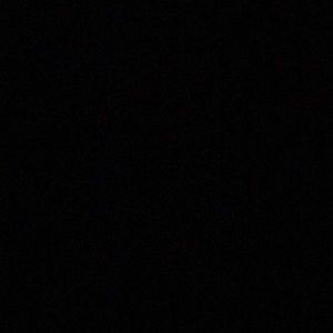 Meet your Posher, Gavin